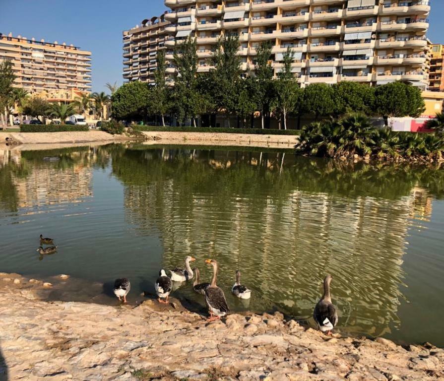 Retiro Playa Y Spa Тавернес де Валдигна Екстериор снимка